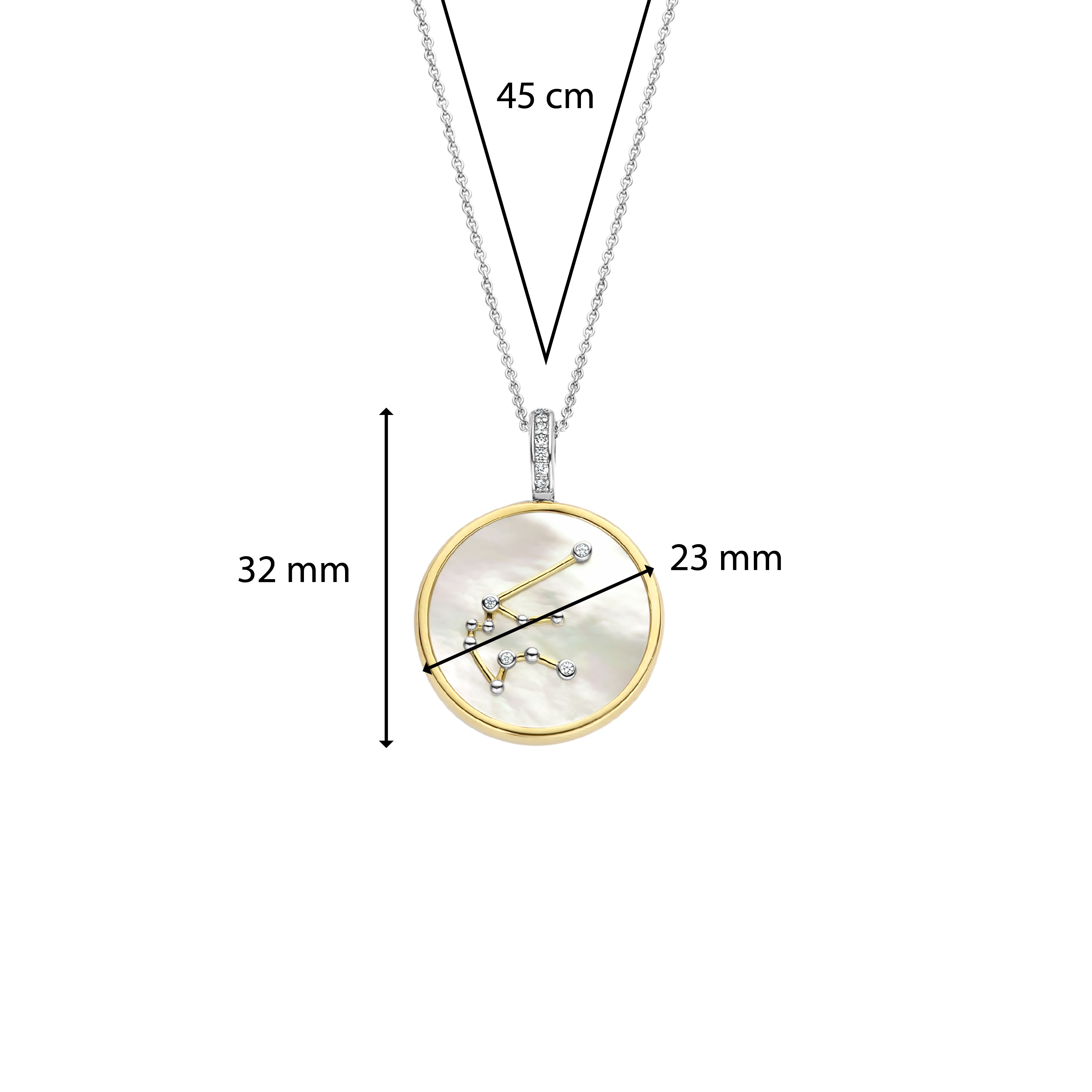 Ketting met Waterman sterrenbeeld hanger 6826AQ