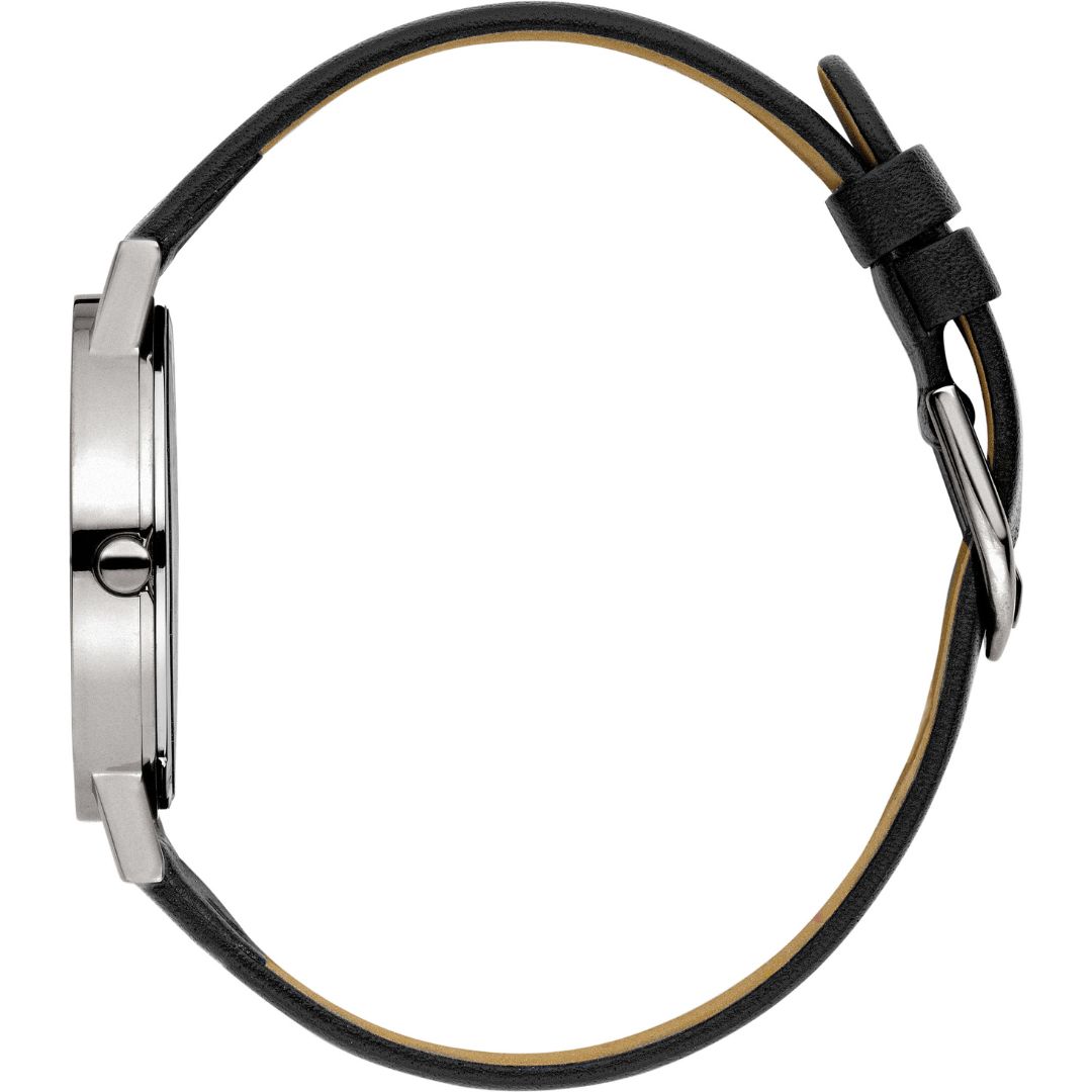 Herenhorloge IQ24Q199