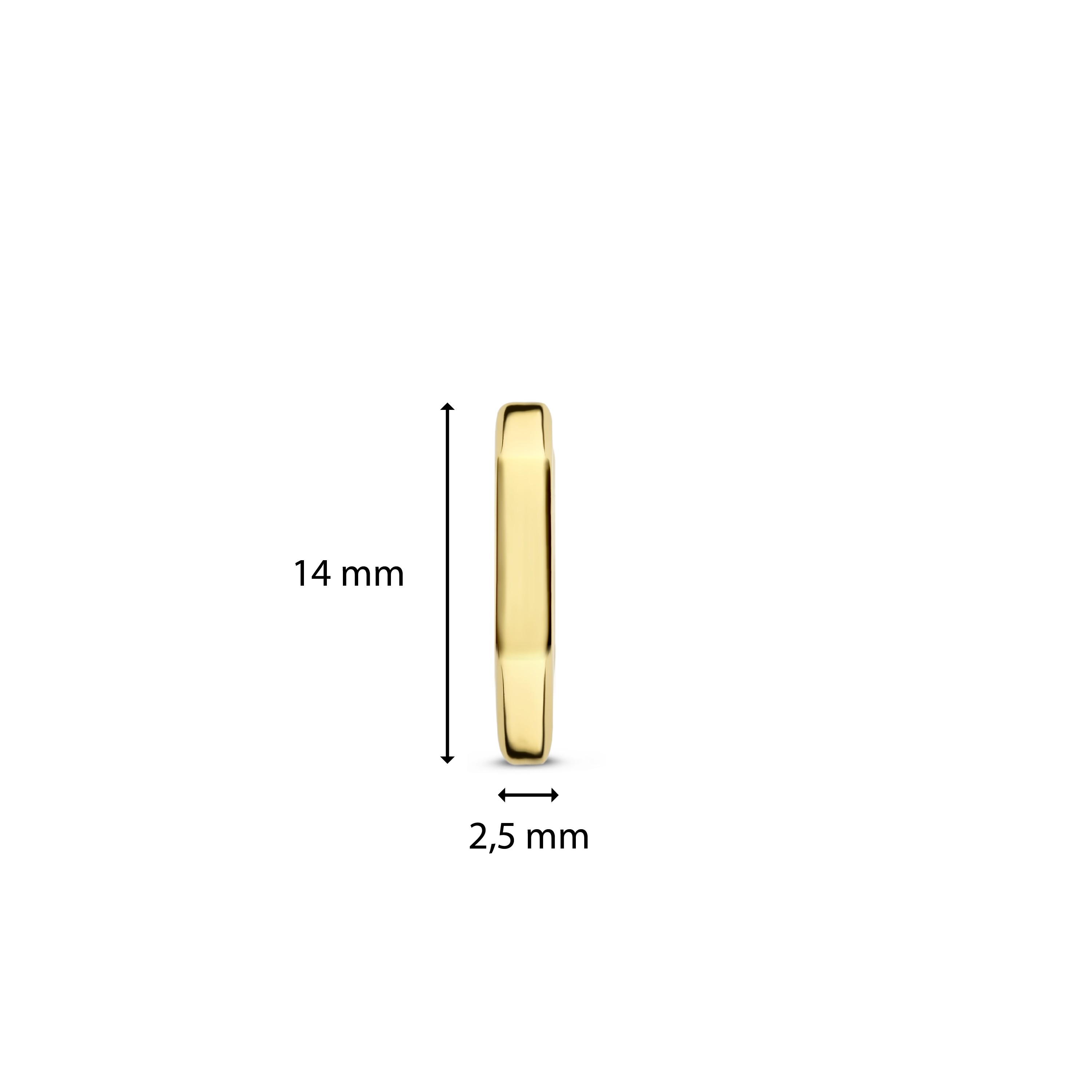 Oorringen van gold plated  7929SY