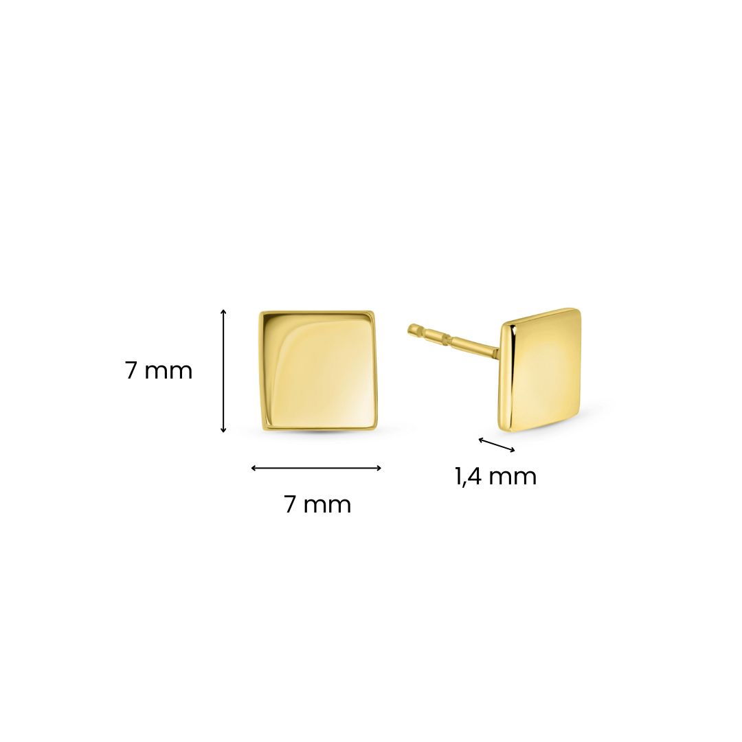 Geelgouden oorstekers T900029475