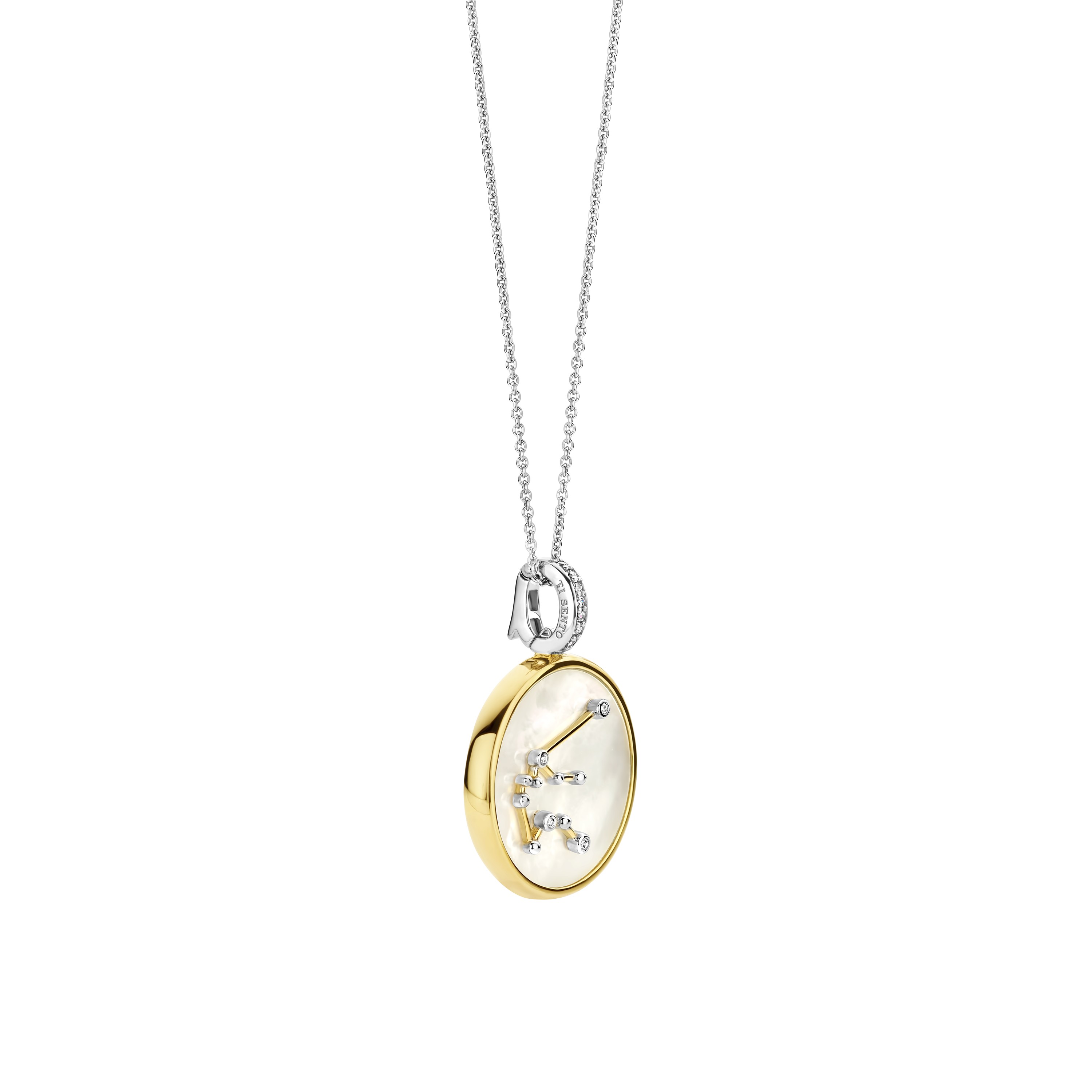 Ketting met Waterman sterrenbeeld hanger 6826AQ