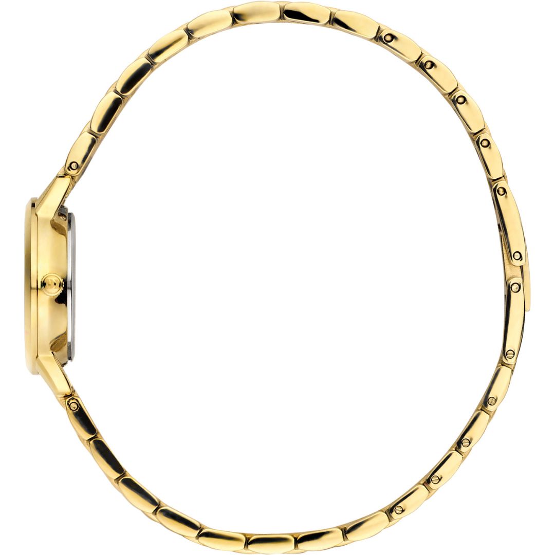 Dameshorloge Akilia Mini Link Gold 22 mm - IV91Q1268