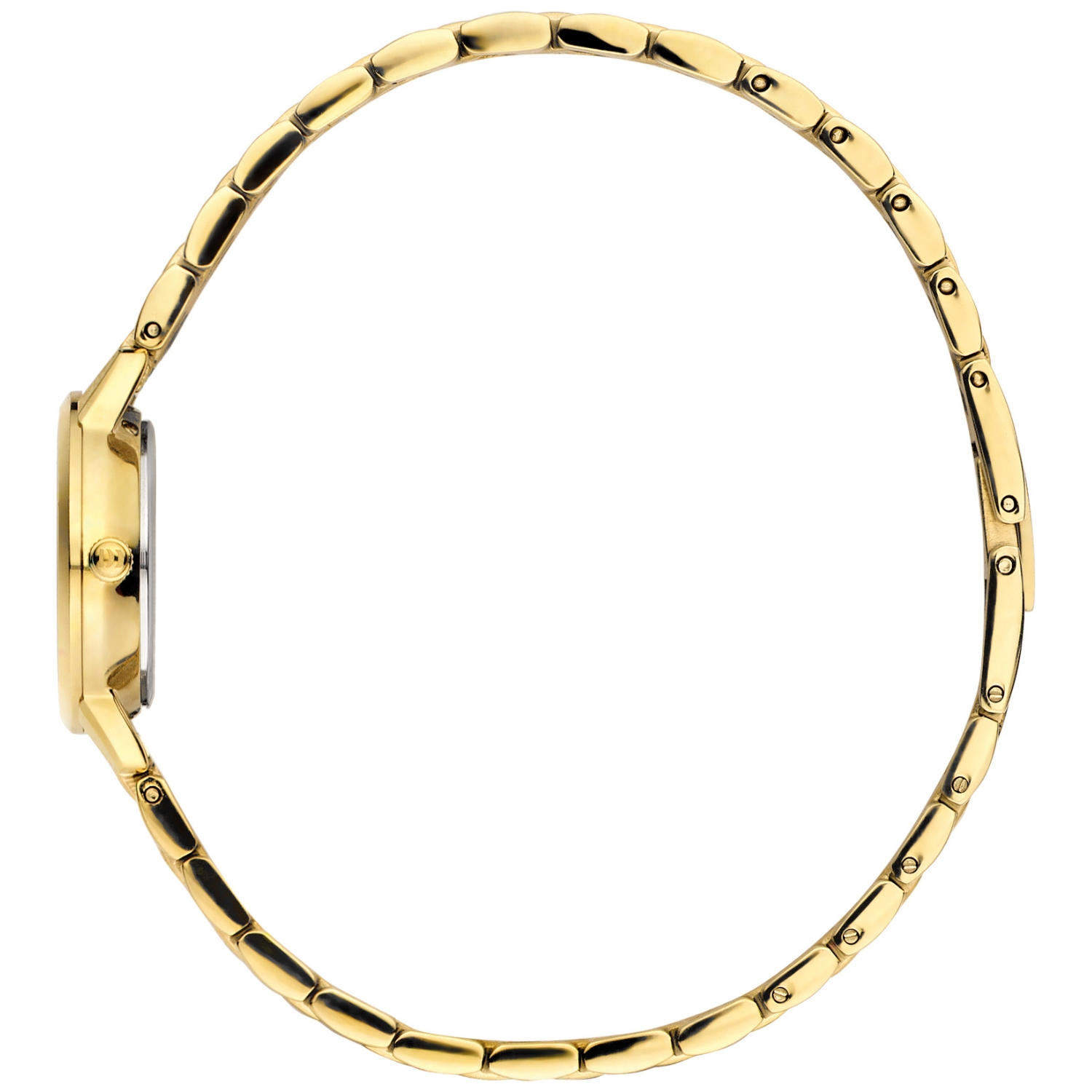 Dameshorloge Akilia Mini Link Bruin - IV84Q1268