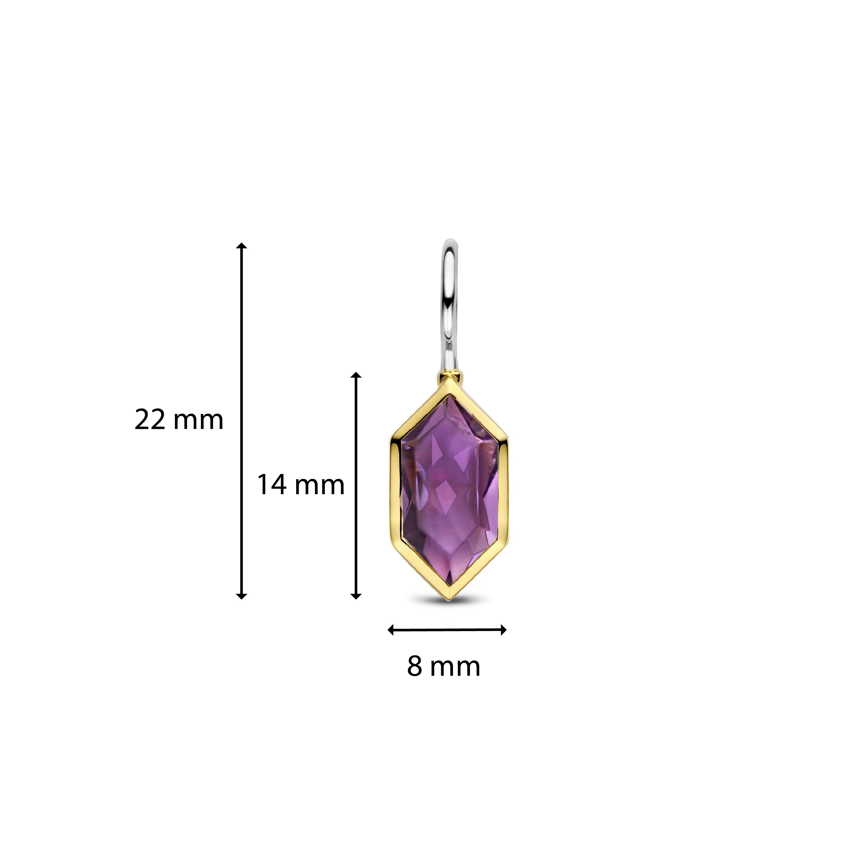 Oorhangers van gold plated sterling zilver met paarse kristal 7945PU