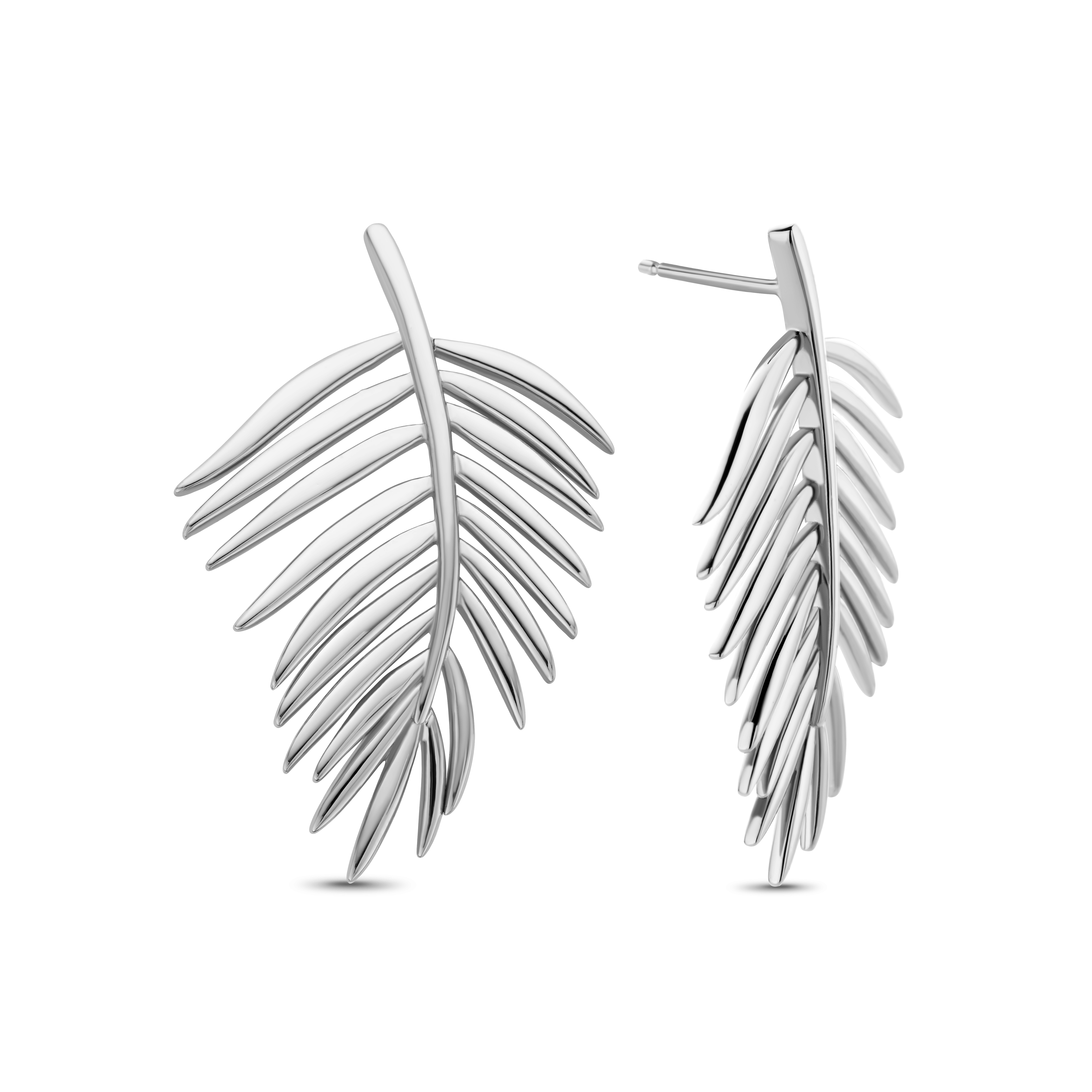 Zilveren rhodium plated oorbellen met een Areca palm blad
