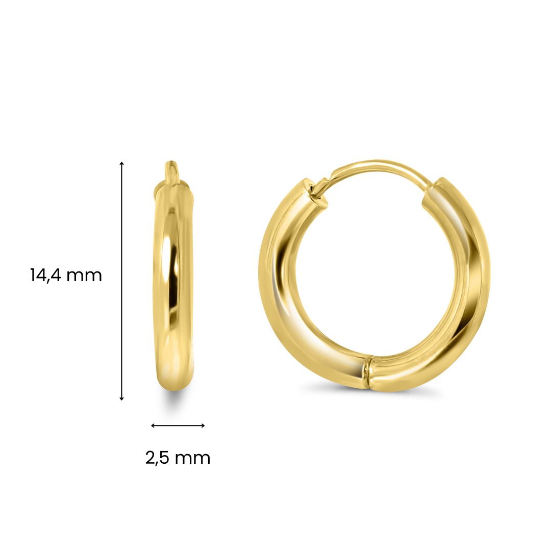 Gouden oorringen E122-VX6TH0002.5-10-Y