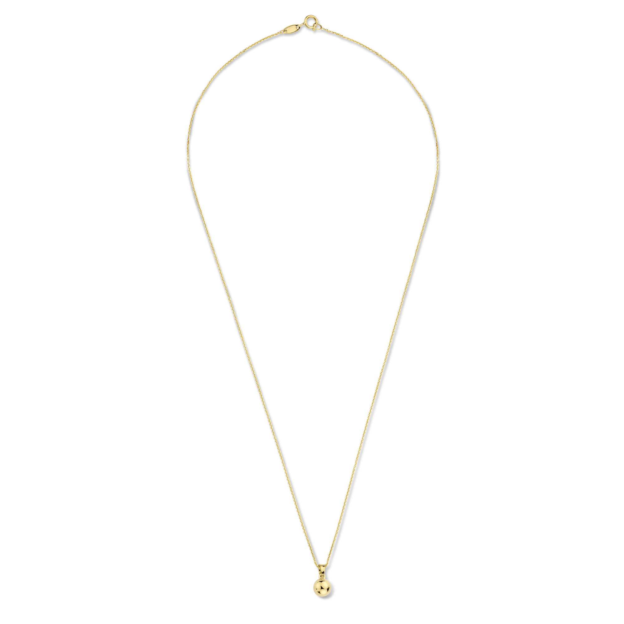 Geelgouden ketting met hanger