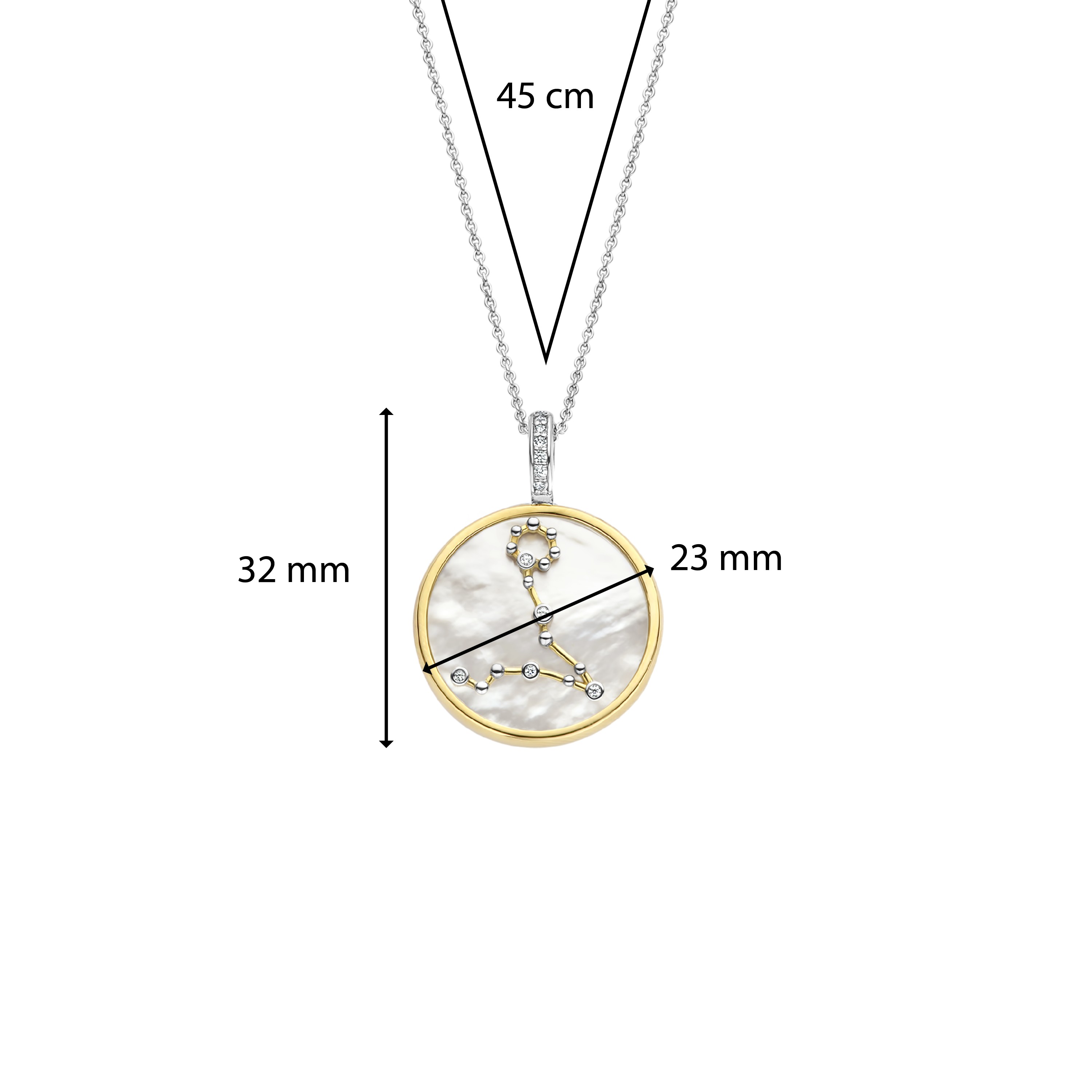 Ketting met Vissen sterrenbeeld hanger 6826PI