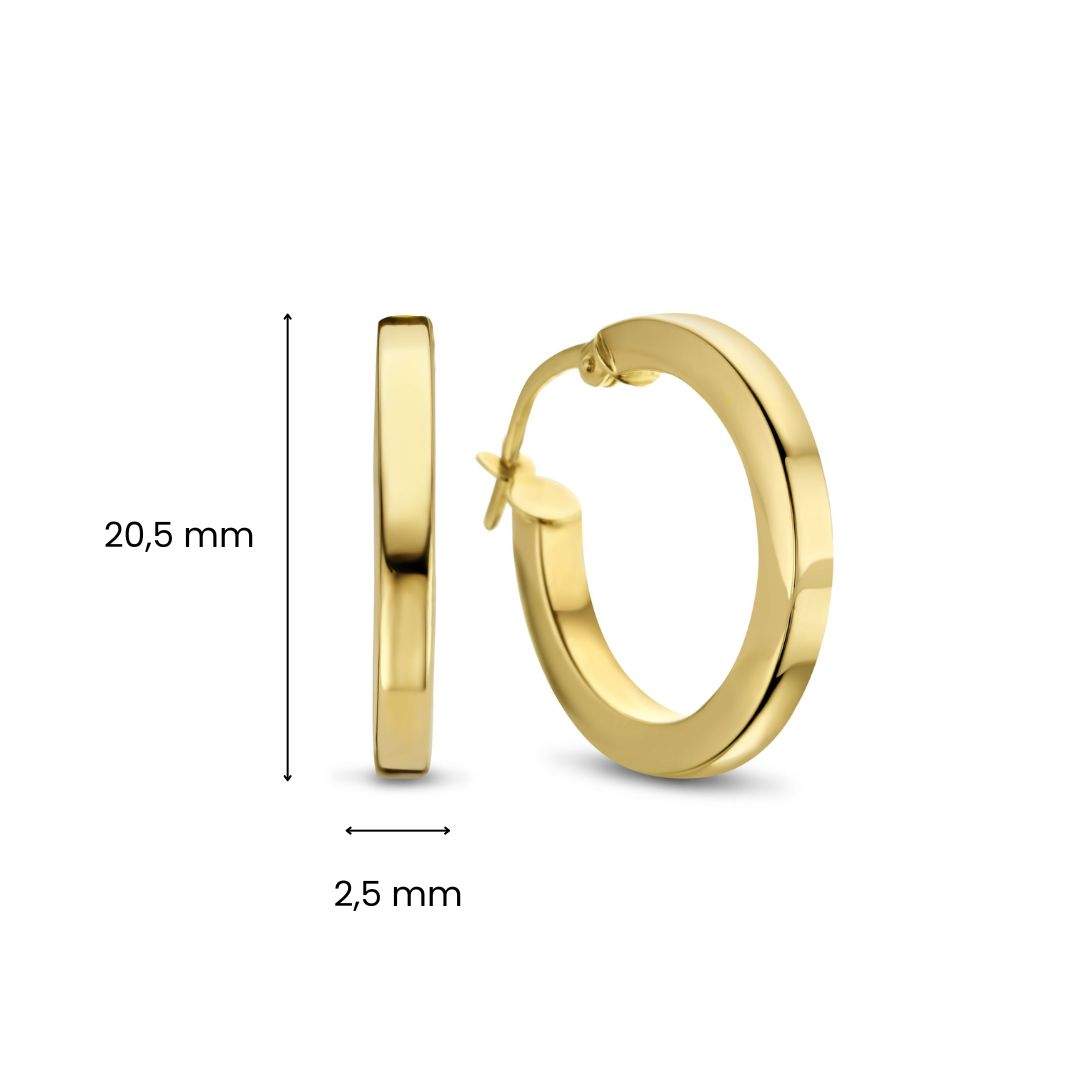 Geelgouden oorbellen E122-XXSQTE00025-15-Y