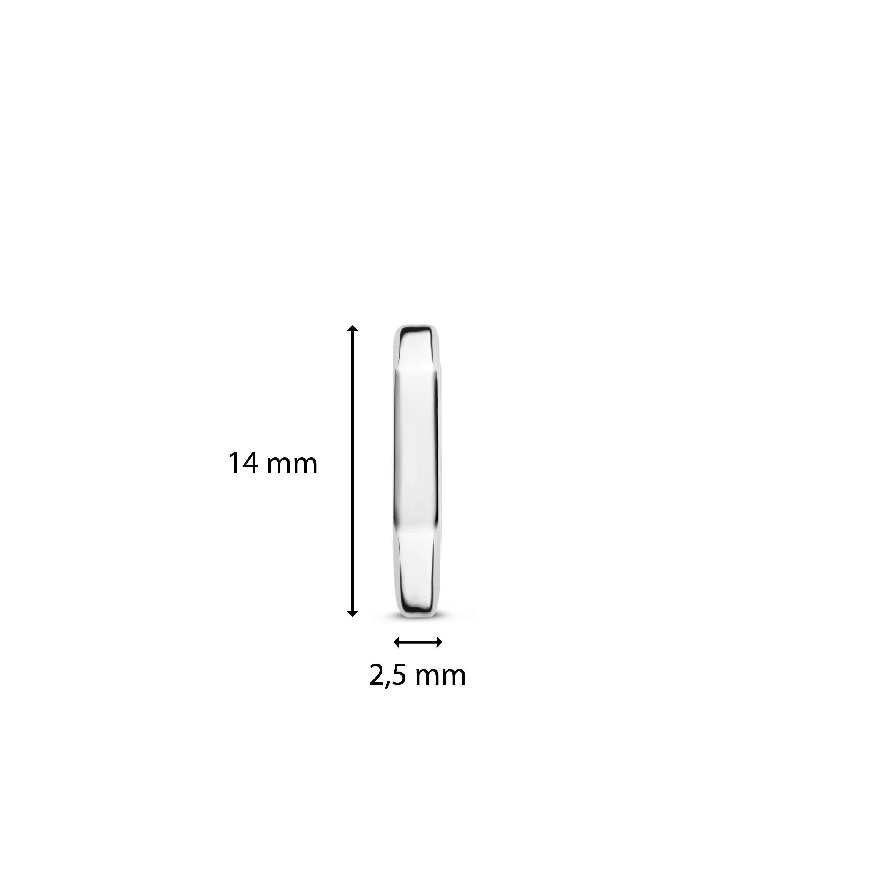 Oorringen van sterling zilver 7929SI Oorringen van sterling zilver 7929SI