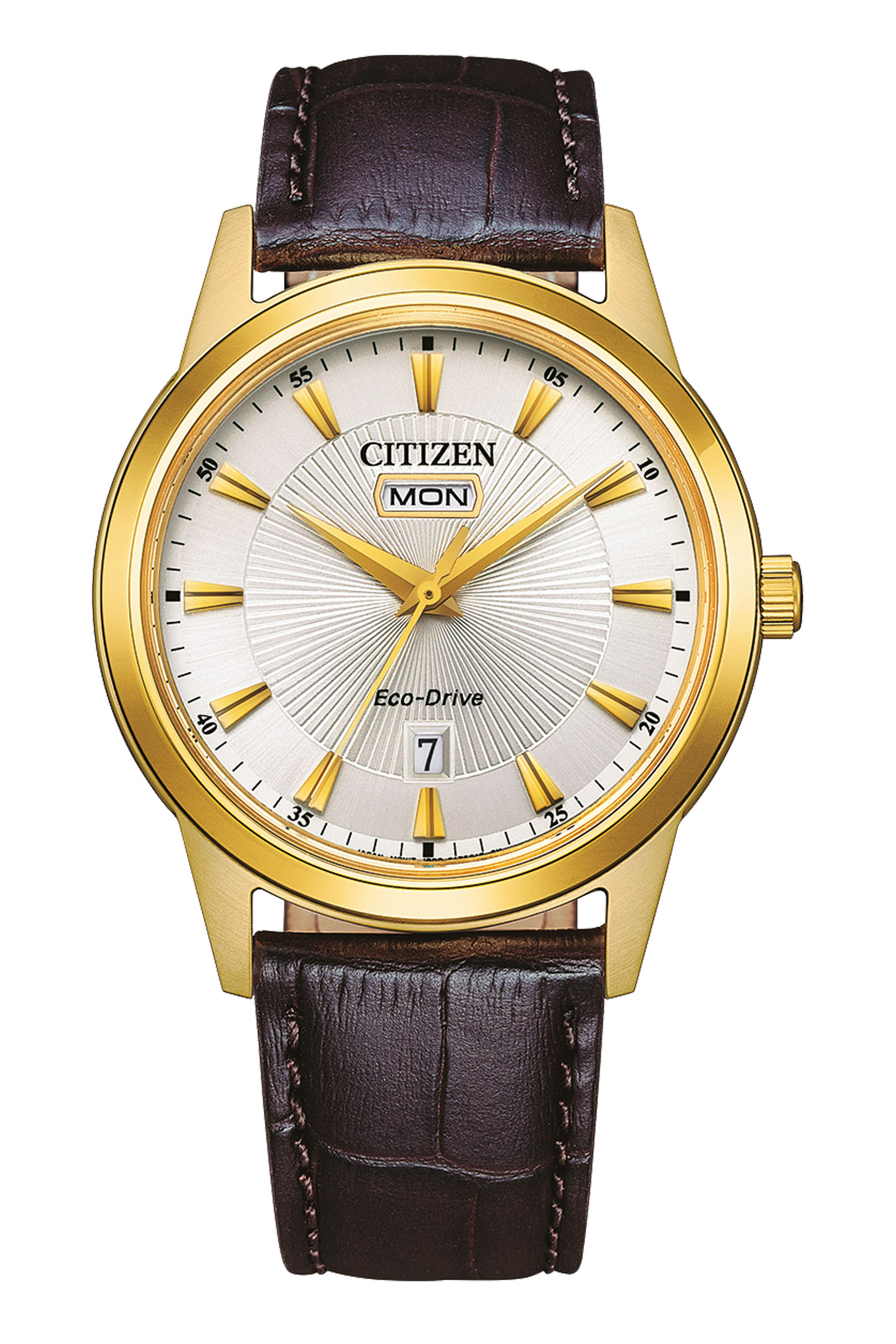 Herenhorloge AW0102-13AE