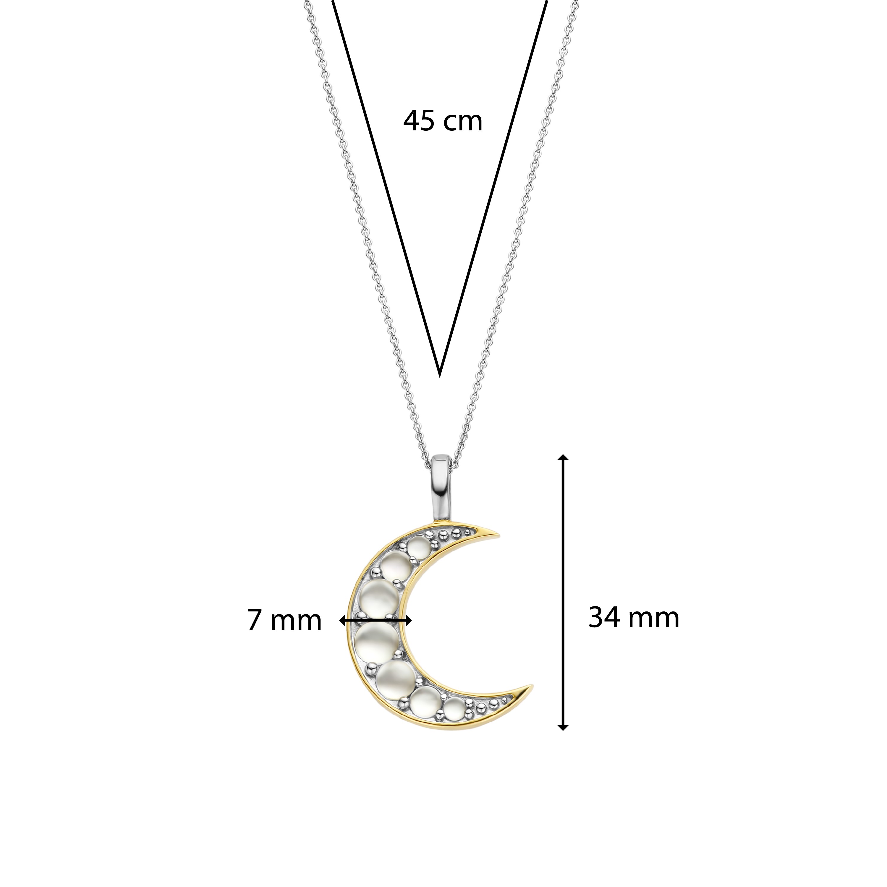 Sterling zilveren gold plated collier met hanger 6824MW