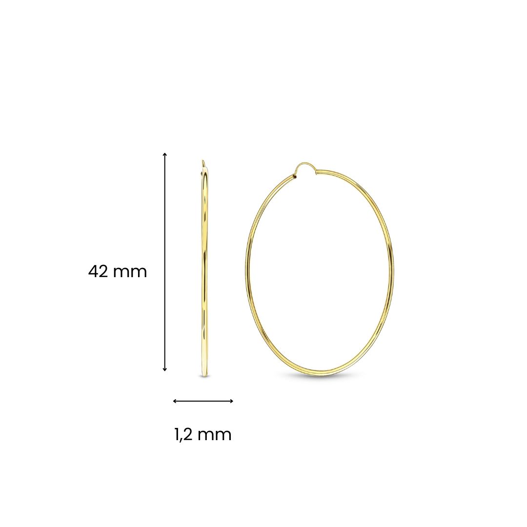 Geelgouden oorbellen 01.2881.40 Geelgouden oorbellen 01.2881.40