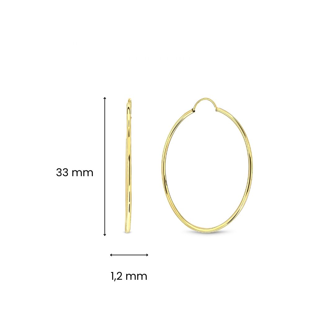 Geelgouden oorringen 01.2881.30.01