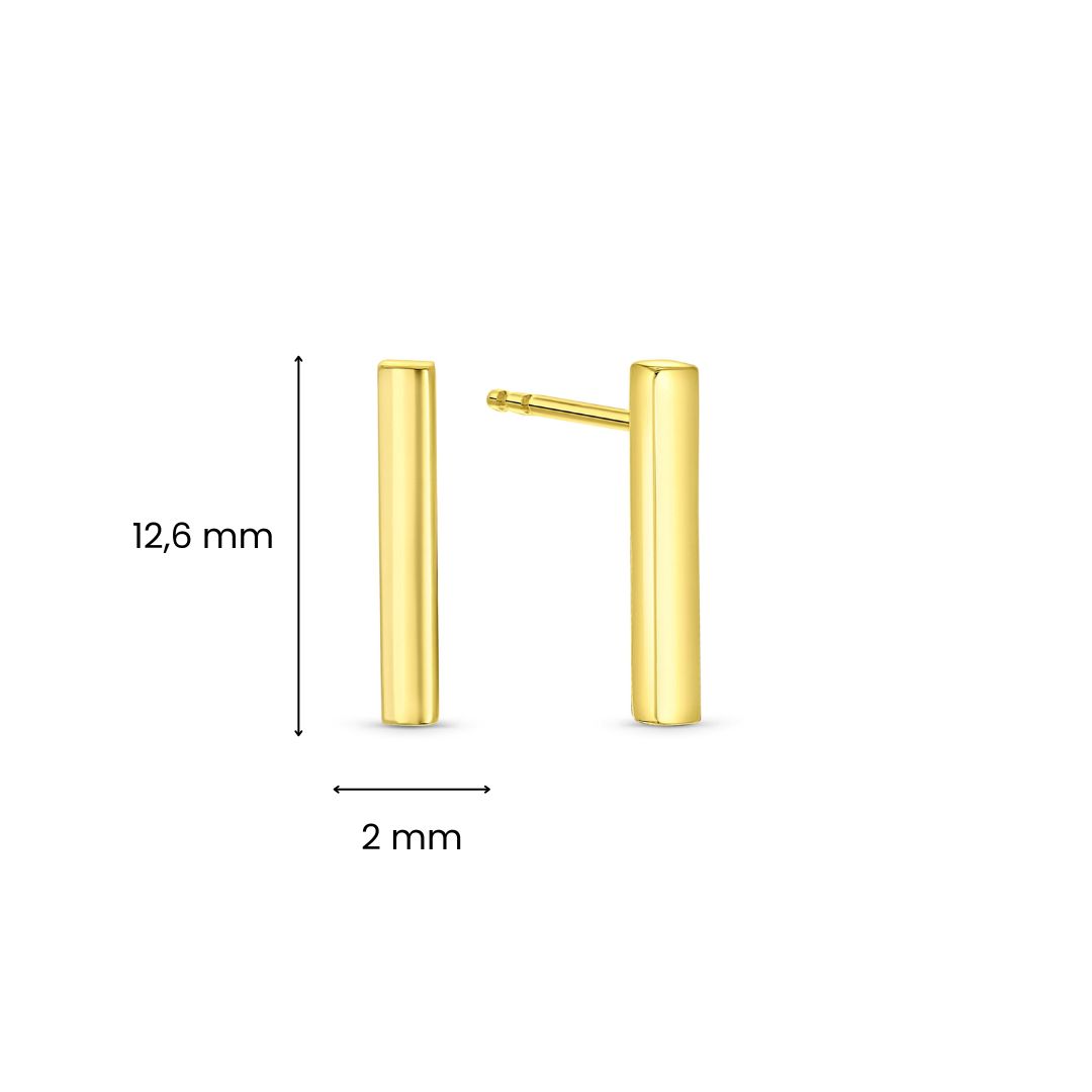 Geelgouden oorstekers X3TE9347