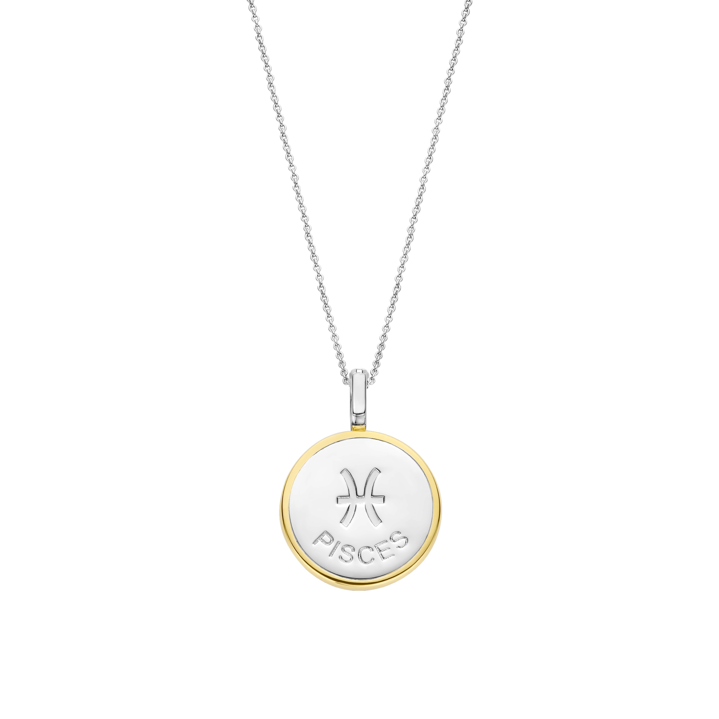 Ketting met Vissen sterrenbeeld hanger 6826PI